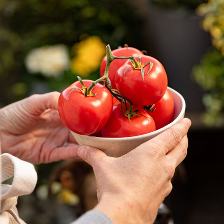 Une femme tenant un bol de tomates du jardin