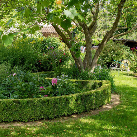 Un jardin ombragé grâce aux arbres