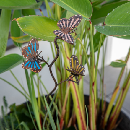Des décorations à piquer  en forme de papillon qui décorent le pot