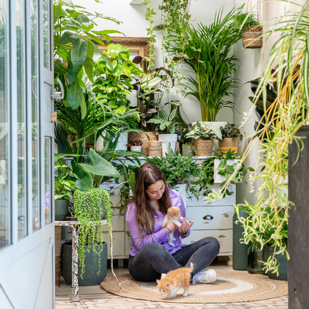 Une femme assise sur un tapis avec des chatons, entourée de plantes vertes d'intérieur.