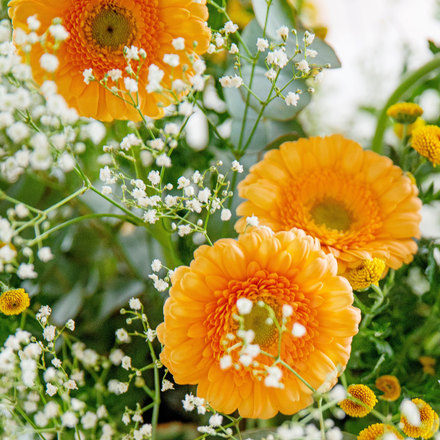 Des fleurs oranges et blanches.