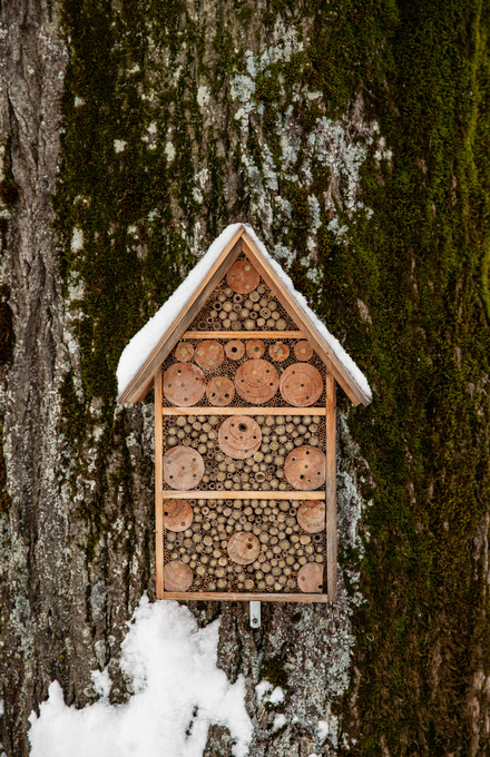 Un hôtel à insectes accroché à un arbre sous la neige.