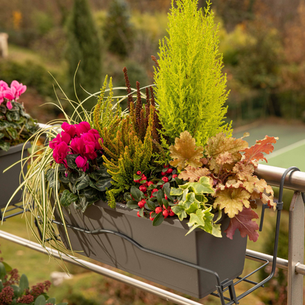 Une jardinière d'automne sur un balcon