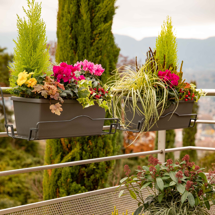 Des jardinières d'automne sur un balcon