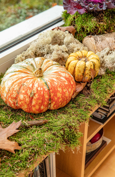 Une courge décorative