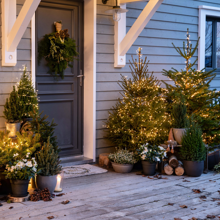 Une porte d'entrée décorée pour Noël avec des sapins