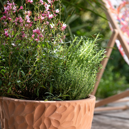 Un pot de fleurs sur une terrasse