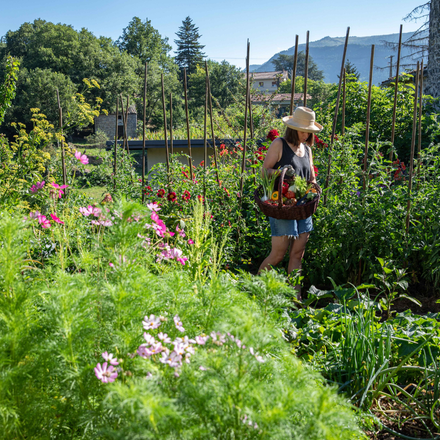 Une femme au milieu d'un potager plein de fleurs