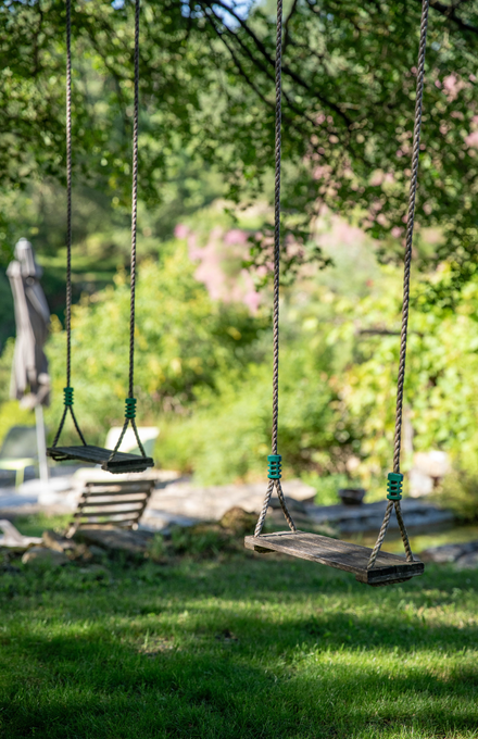 Des balançoires suspendues à un arbre