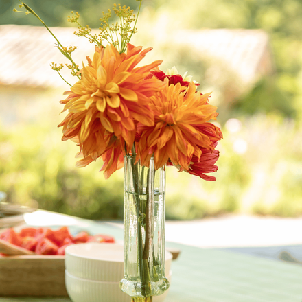 Fleur de dahlia orange dans un soliflore