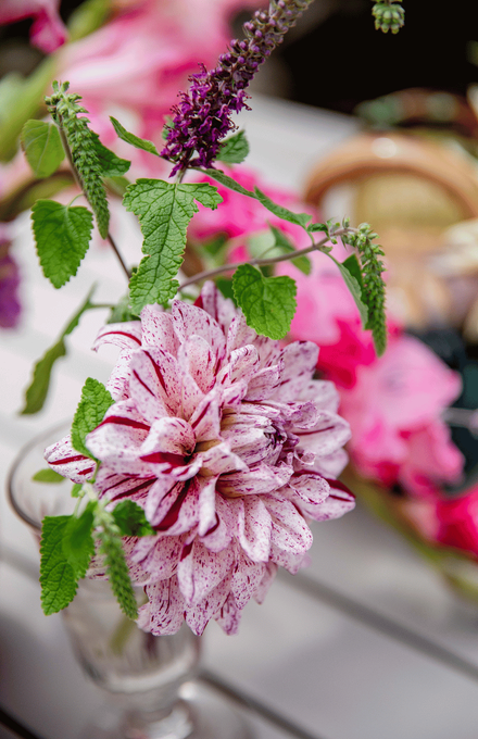 Des fleurs dans des vases