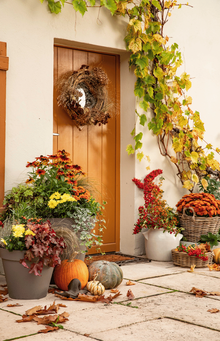 Une porte d'entrée aux couleurs vives de l'automne