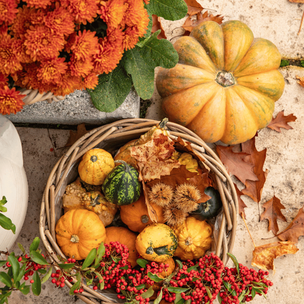 Les couleurs de l'automne avec des courges et chrysanthemes