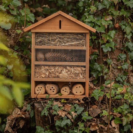 Un abri à insectes dans le jardin en automne