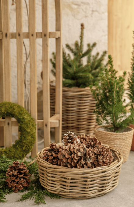 Un panier avec des pommes de pin