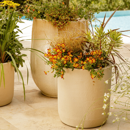 Pot de fleurs extérieurs devant une piscine