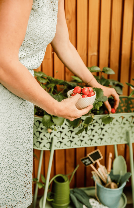 Une femme en train de ramasser des fraises sur son balcon en ville