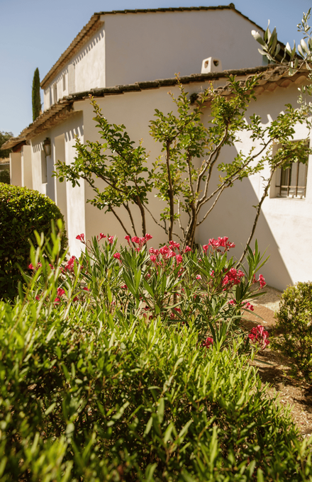 Une maison dans le sud entourée de végétaux adaptés au jardin sec