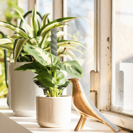 Un rebord de fenêtre décoré avec une statue d'oiseau et une mini plante en pot