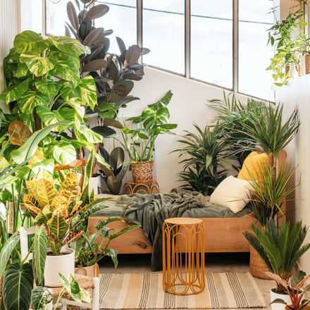 Une chambre exposée au soleilavec des plantes d'intérieur et des petites décorations jaune