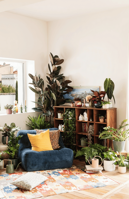 Un salon avec des plantes d'intérieur, un canapé bleu et des coussins jaune