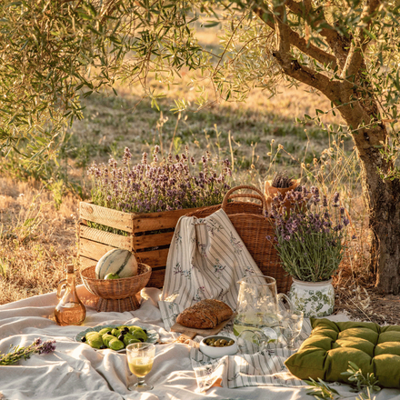 Sous un olivier dans la nature, un pique-nique avec une nappe, de la vaisselle, un coussin, des brins de lavande et de la nourriture