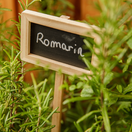 Zoom sur une petite pancarte plantée dans le romarin