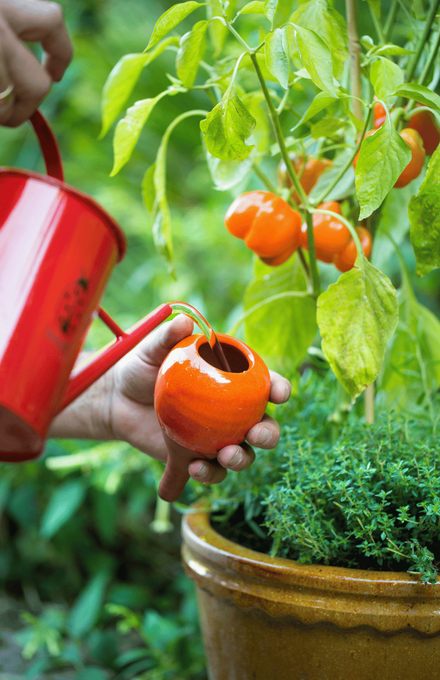 Un Oyas orange émaillé rempli d'eau