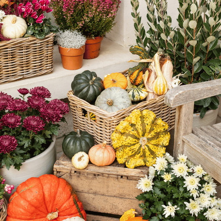Un rebord de fenêtre décoré avec des citrouilles colorées