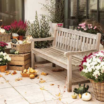 Une terrasse d'automne avec un banc en bois, des chrysanthèmes en pot et des citrouilles