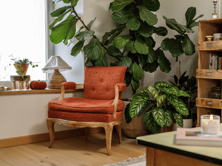 Un salon décoré pour l'automne avec un fauteuil, des citrouilles, des végétaux et des bougies