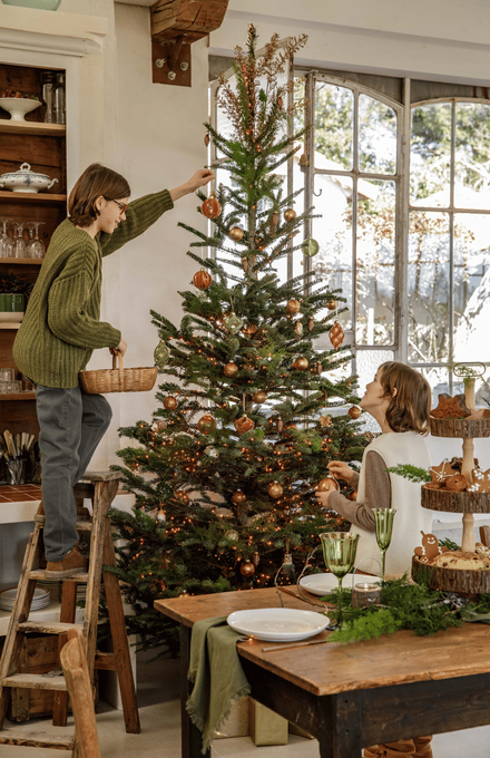Deux enfants qui décore le sapin de noel