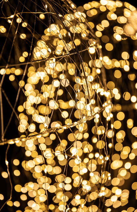 Une décoration lumineuse