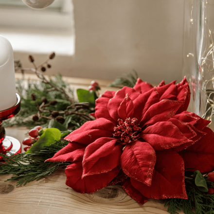 Une fleur rouge en décoration de Noël