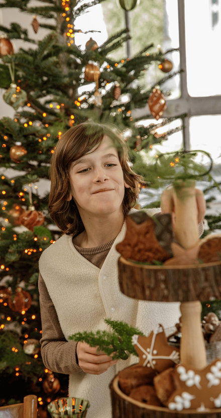 Un enfant devant un sapin de Noël qui pioche un biscuit sucré