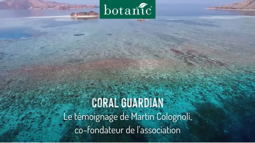 Témoignage vidéo de Martin Colognoli association Coral Guardian