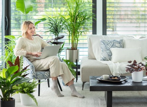 AIDE CONTACT visual data 6