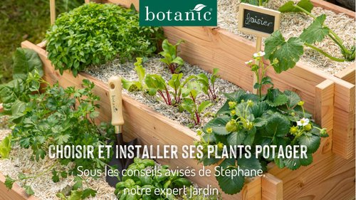 Choisir et installer ses plants potager avec botanic®