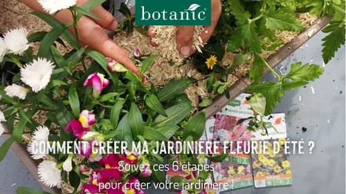 Miniature vidéo comment créer sa jardinière d'été fleurie