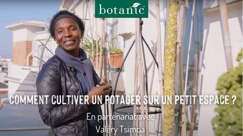 Vidéo Valéry Tsimba comment cultiver un potager sur un petit espace