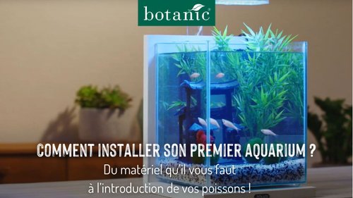 Conseil vidéo botanic® sur l'installation d'un premier aquarium