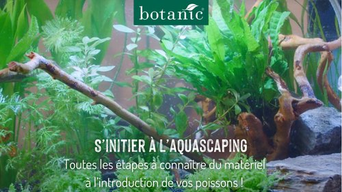 S'initier à l'aquascaping avec botanic®