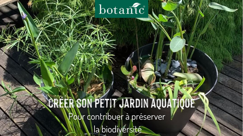 Tutoriel botanic® comment créer un petit jardin aquatique dans un pot