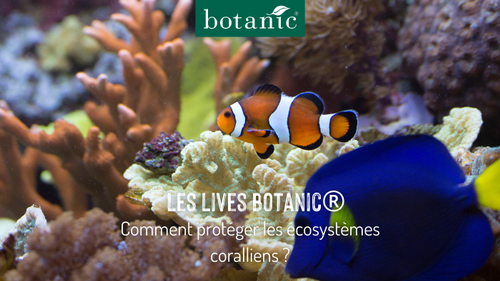 Miniature youtube sur les écosystèmes coralliens