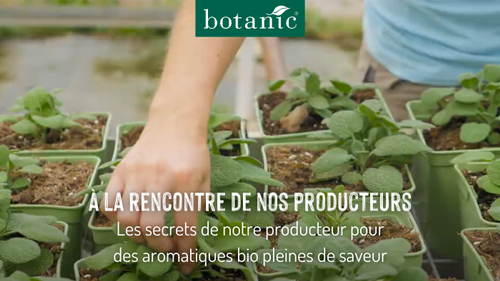 Miniature YouTube producteurs aromatiques bio