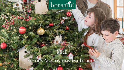 Miniature préparation de Noël avec botanic