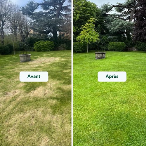 Visuel 7 du produit Kit de rénovation pour pelouse engrais et semences Bleen - 5 kg