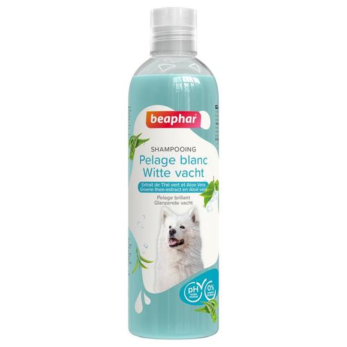 Visuel 1 du produit Shampooing pour pelage blanc Beaphar - 250 ml