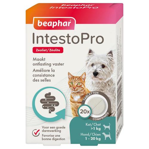 Visuel 1 du produit Aliment complémentaire consistance des selles pour chat et petit chien Beaphar IntestoPro - x 20 comprimés