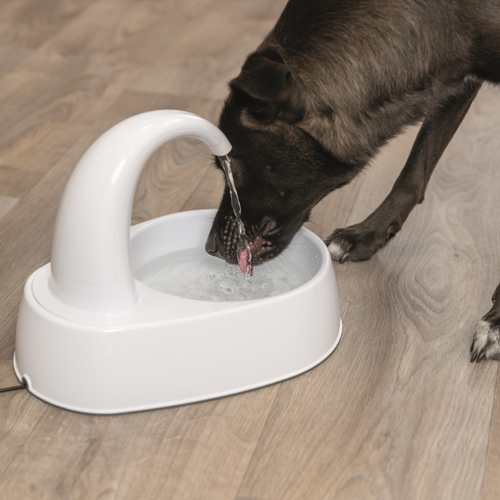 Visuel 7 du produit Fontaine à eau blanche pour chat Trixie Curved Stream - 2,5 L